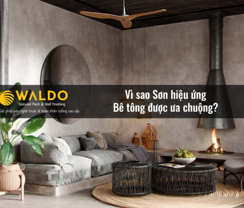 Vì sao Sơn hiệu ứng Bê tông được ưa chuộng