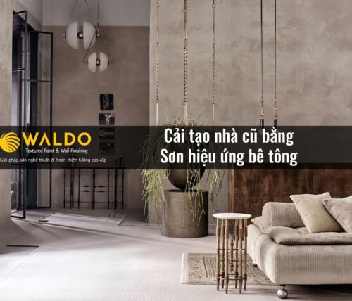 Cải tạo nhà cũ bằng Sơn hiệu ứng bê tông