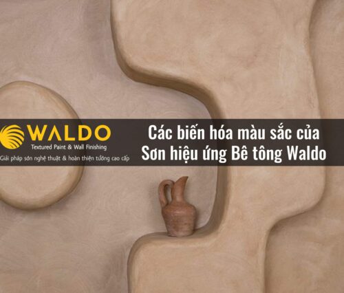Cách xử lý tường bị mối - ẩm - mốc