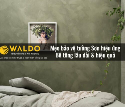 Mẹo bảo vệ tường Sơn hiệu ứng Bê tông lâu dài & hiệu quả