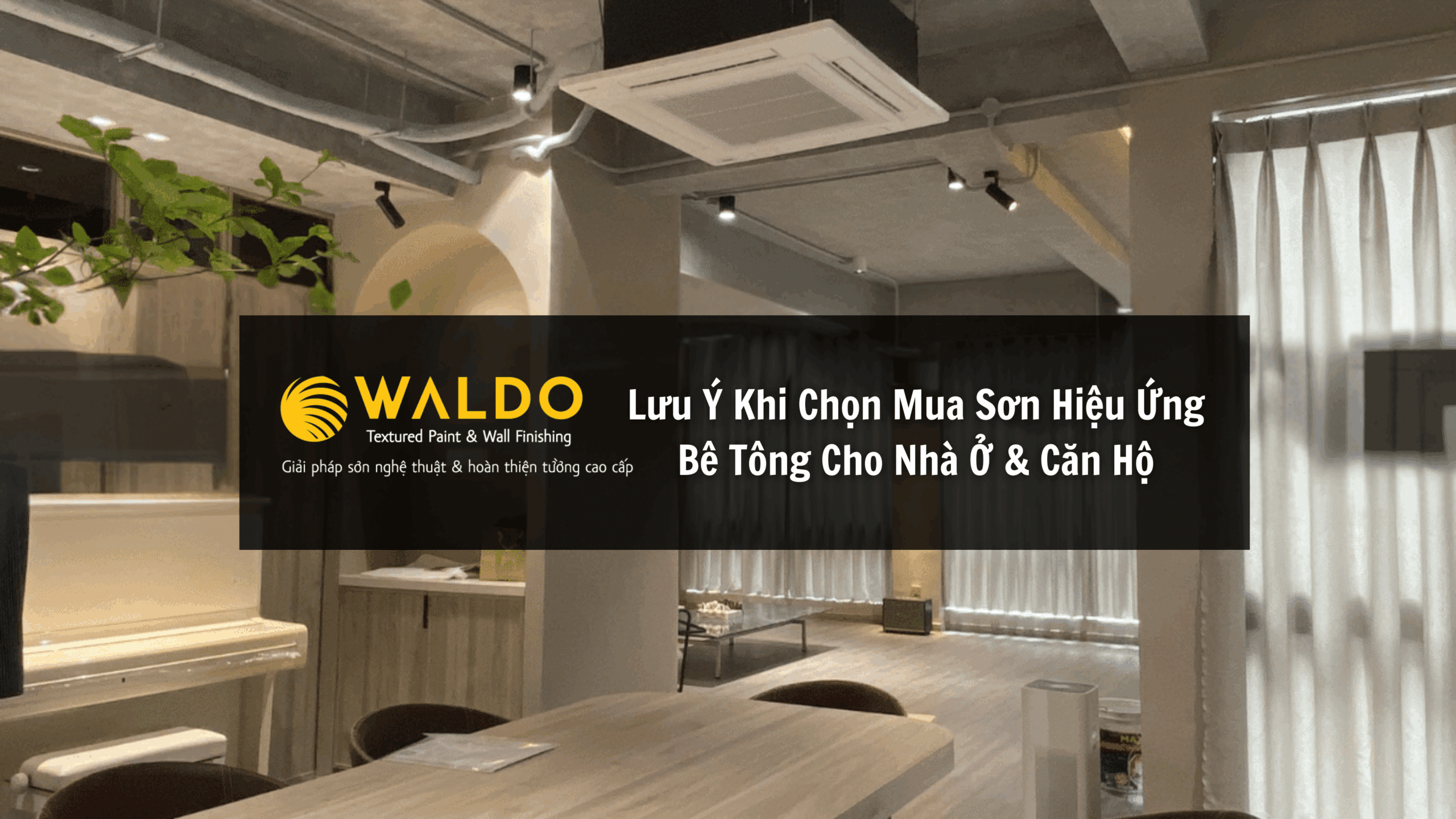 Để sở hữu các mảng tường sơn hiệu ứng bê tông độc đáo và hoàn mỹ nhất, bỏ túi ngay những điều sau đây