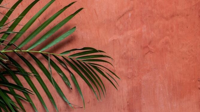 Sơn hiệu ứng Waldo-Sơn hiệu ứng hợp mạng Thủy