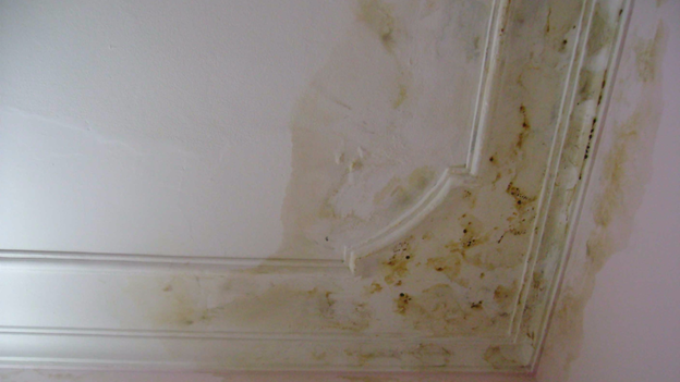 Ẩm mốc gây ảnh hưởng đến không chỉ thẩm mỹ mà còn sức khỏe của người sử dụng.