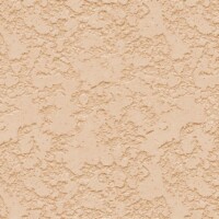 SP01BR4 Map sơn hiệu ứng Waldo