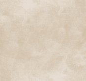 Waldo_Son Hieu Ung Nhung Ngoc Trai_TRMBE06