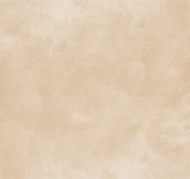 Waldo_Son Hieu Ung Nhung Ngoc Trai_TRMBE08