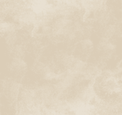 Waldo_Son Hieu Ung Nhung Ngoc Trai_TRMBE09