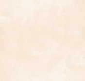 Waldo_Son Hieu Ung Nhung Ngoc Trai_TRMBE10