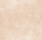 Waldo_Son Hieu Ung Nhung Ngoc Trai_TRMBE11