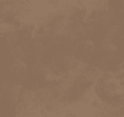 Waldo_Son Hieu Ung Nhung Ngoc Trai_TRMBR02