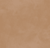 Waldo_Son Hieu Ung Nhung Ngoc Trai_TRMBR03