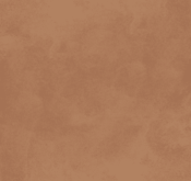 Waldo_Son Hieu Ung Nhung Ngoc Trai_TRMBR04