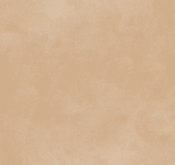 Waldo_Son Hieu Ung Nhung Ngoc Trai_TRMBR06