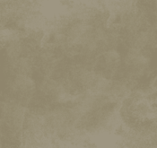 Waldo_Son Hieu Ung Nhung Ngoc Trai_TRMGN01