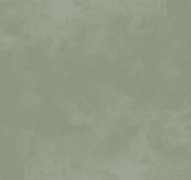 Waldo_Son Hieu Ung Nhung Ngoc Trai_TRMGN02