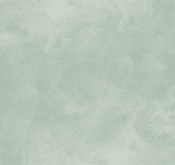 Waldo_Son Hieu Ung Nhung Ngoc Trai_TRMGN05