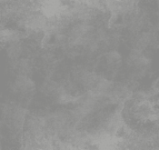 Waldo_Son Hieu Ung Nhung Ngoc Trai_TRMGR04