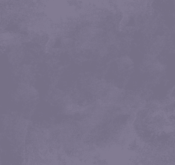 Waldo_Son Hieu Ung Nhung Ngoc Trai_TRMPP01