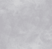 Waldo_Son Hieu Ung Nhung Ngoc Trai_TRMPP05