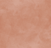 Waldo_Son Hieu Ung Nhung Ngoc Trai_TRMRE11