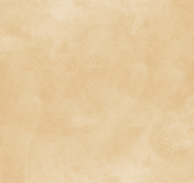 Waldo_Son Hieu Ung Nhung Ngoc Trai_TRMYE03