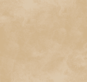 Waldo_Son Hieu Ung Nhung Ngoc Trai_TRMYE04