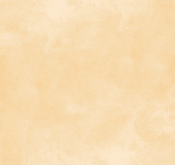 Waldo_Son Hieu Ung Nhung Ngoc Trai_TRMYE05