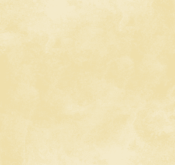 Waldo_Son Hieu Ung Nhung Ngoc Trai_TRMYE06