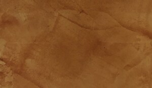 Sơn hiệu ứng đá marble Venetian VE CTL 07